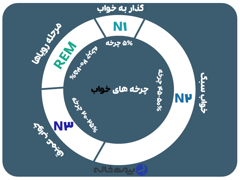 چرخه خواب و مراحل REM و NREM